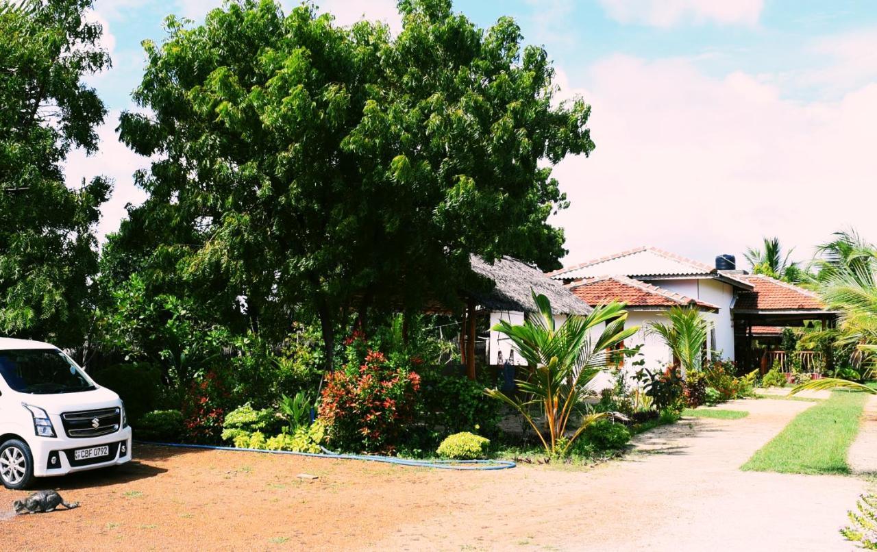 Prime Surfers Bungalow آروغام المظهر الخارجي الصورة